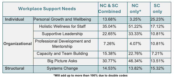 Workplace Supports Needed for DV Advocates